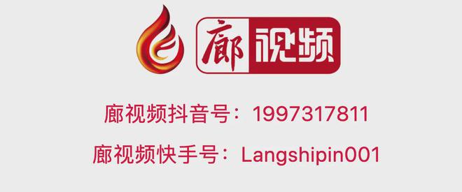 【2024国际经济贸易洽谈会】河北有效推进全国现代商贸物流重要基地建设(图2)